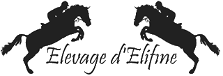 Elevage d'Elifine Logo